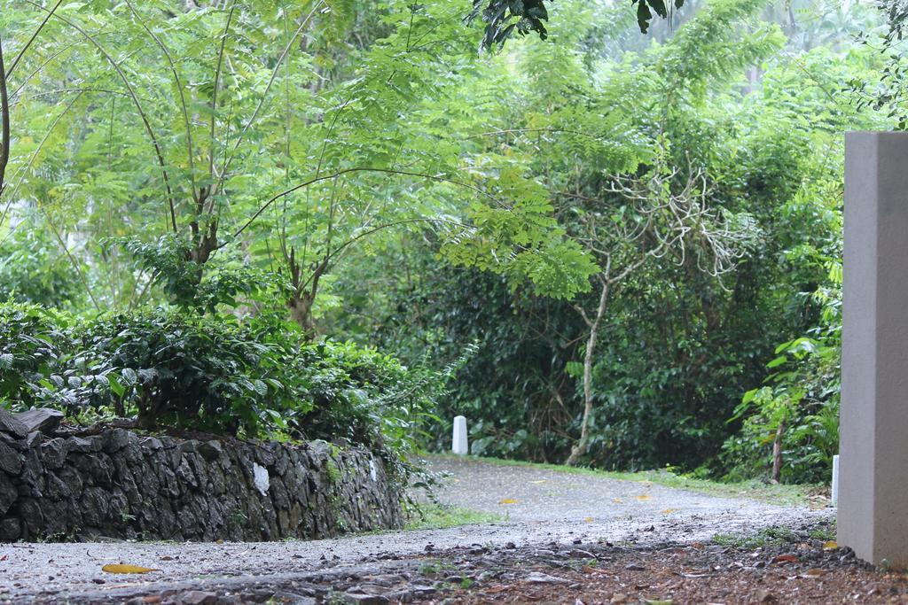 The Country House Chalets Galle Esterno foto