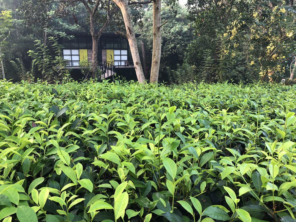 The Country House Chalets Galle Esterno foto